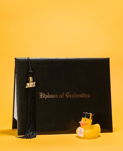 Купить диплом ГОЗНАК в Кавалерово